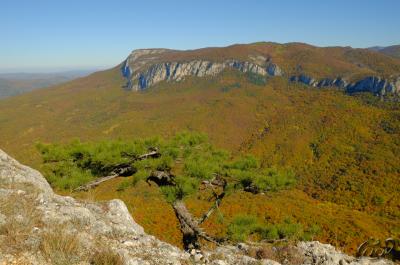 Прикрепленное изображение: 2.JPG